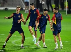 西班牙瑞士阵容 西班牙瑞士阵容