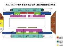 河南男篮稳坐主场,实力强大再获胜的球员